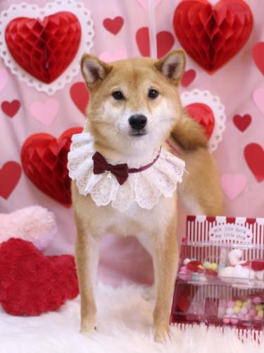 20240216シュウくん